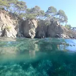 La P'tite Cigale * Йер