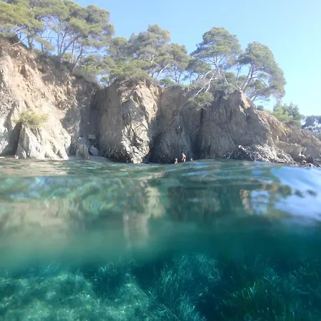La P'tite Cigale * Hyères